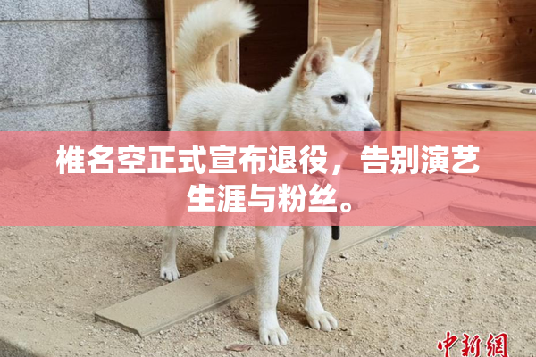 椎名空正式宣布退役，告别演艺生涯与粉丝。