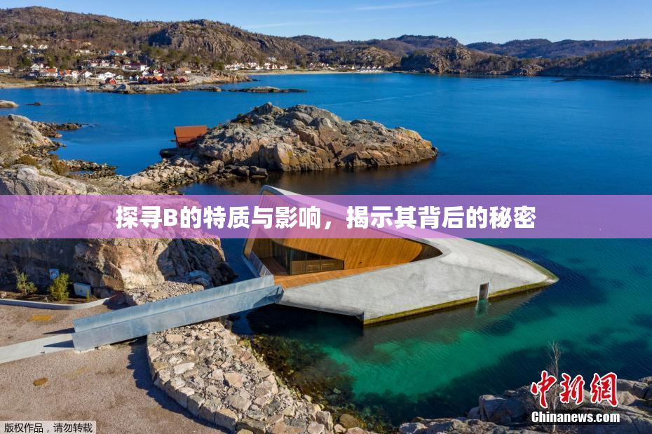 探寻B的特质与影响，揭示其背后的秘密