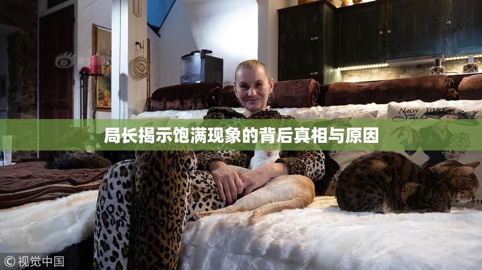 局长揭示饱满现象的背后真相与原因