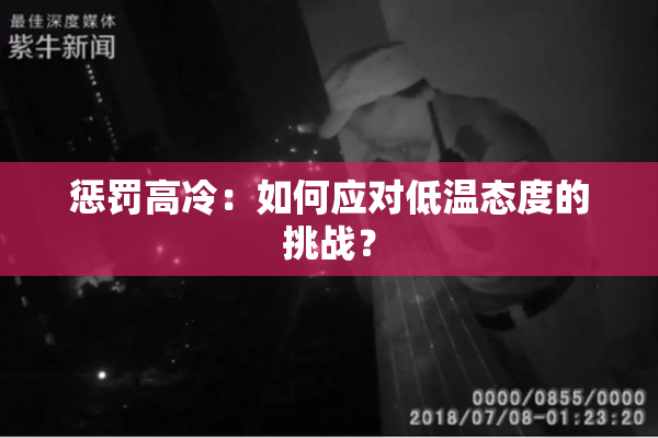 惩罚高冷：如何应对低温态度的挑战？