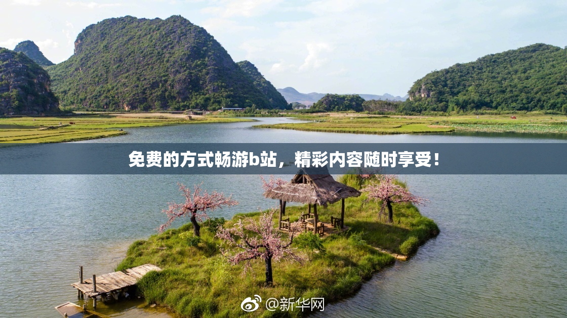 免费的方式畅游b站，精彩内容随时享受！