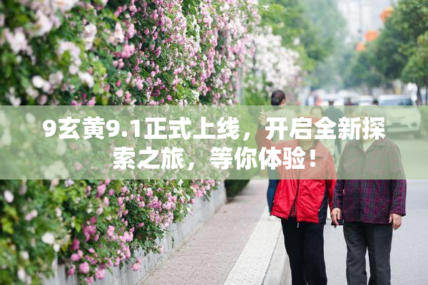 9玄黄9.1正式上线，开启全新探索之旅，等你体验！