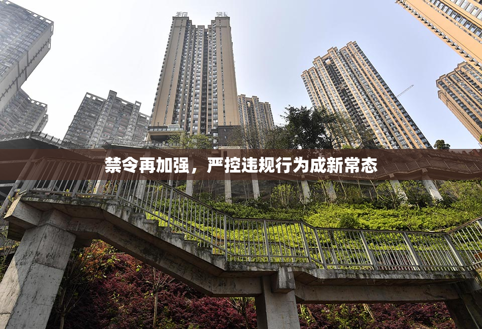 禁令再加强，严控违规行为成新常态