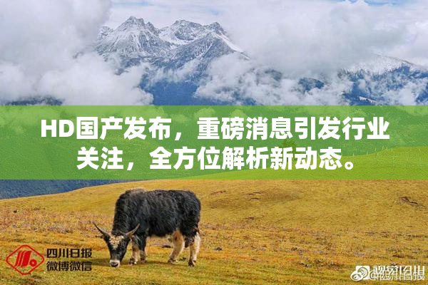 HD国产发布，重磅消息引发行业关注，全方位解析新动态。