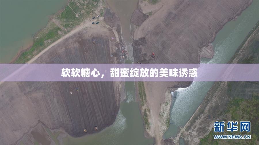 软软糖心，甜蜜绽放的美味诱惑