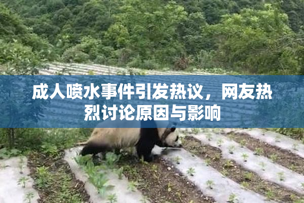 成人喷水事件引发热议，网友热烈讨论原因与影响