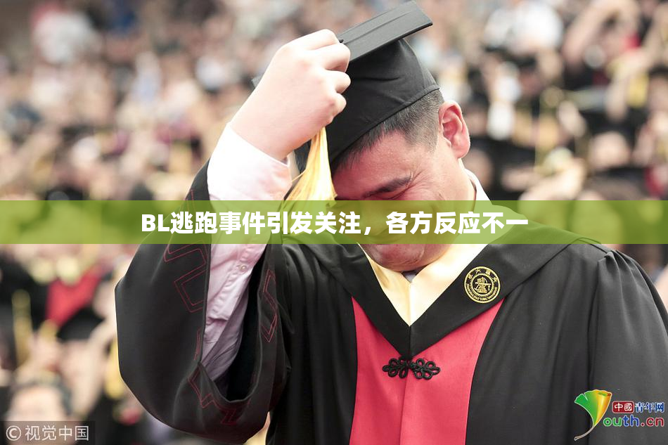 BL逃跑事件引发关注，各方反应不一