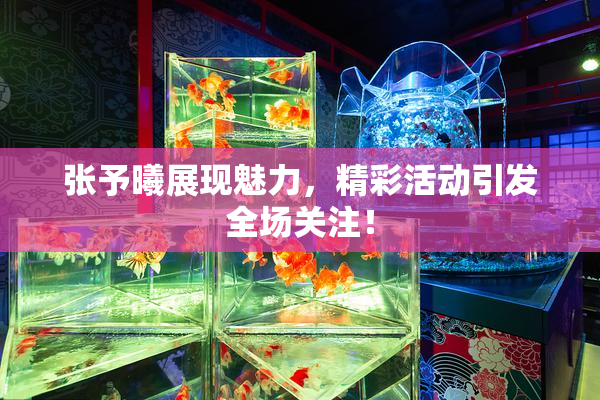 张予曦展现魅力，精彩活动引发全场关注！