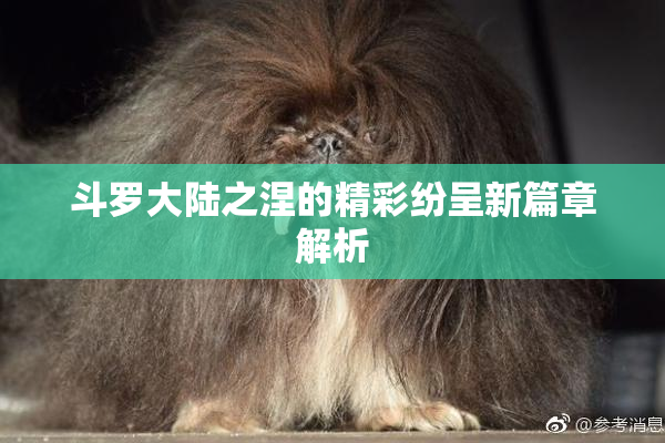 斗罗大陆之涅的精彩纷呈新篇章解析