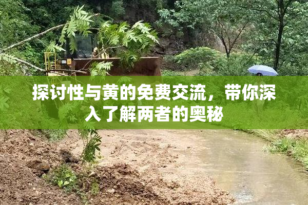 探讨性与黄的免费交流，带你深入了解两者的奥秘