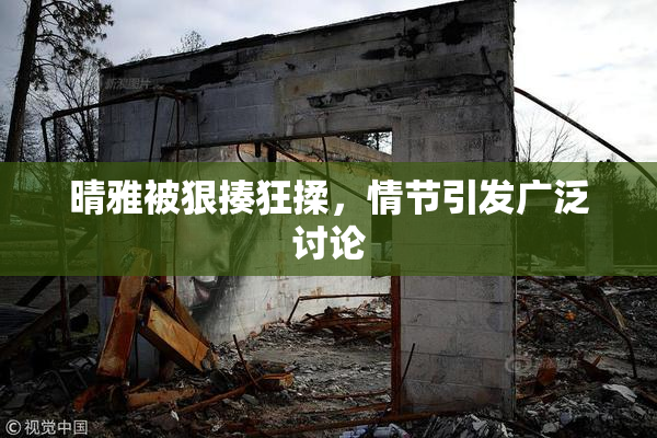 晴雅被狠揍狂揉，情节引发广泛讨论