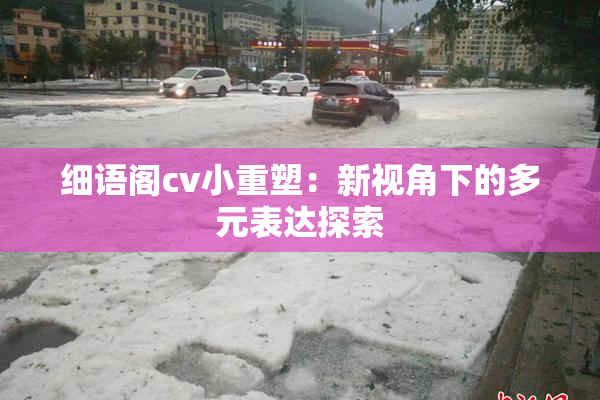 细语阁cv小重塑：新视角下的多元表达探索