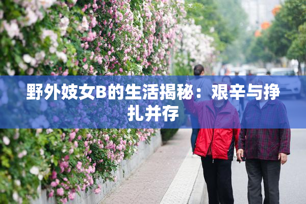 野外妓女B的生活揭秘：艰辛与挣扎并存