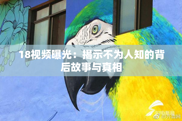 18视频曝光：揭示不为人知的背后故事与真相