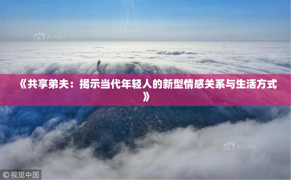 《共享弟夫：揭示当代年轻人的新型情感关系与生活方式》