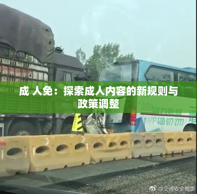 成 人免：探索成人内容的新规则与政策调整