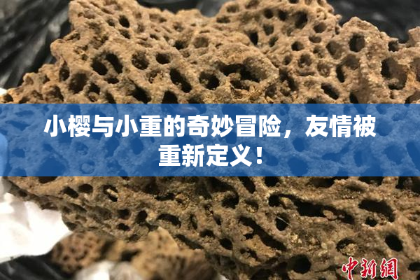 小樱与小重的奇妙冒险，友情被重新定义！
