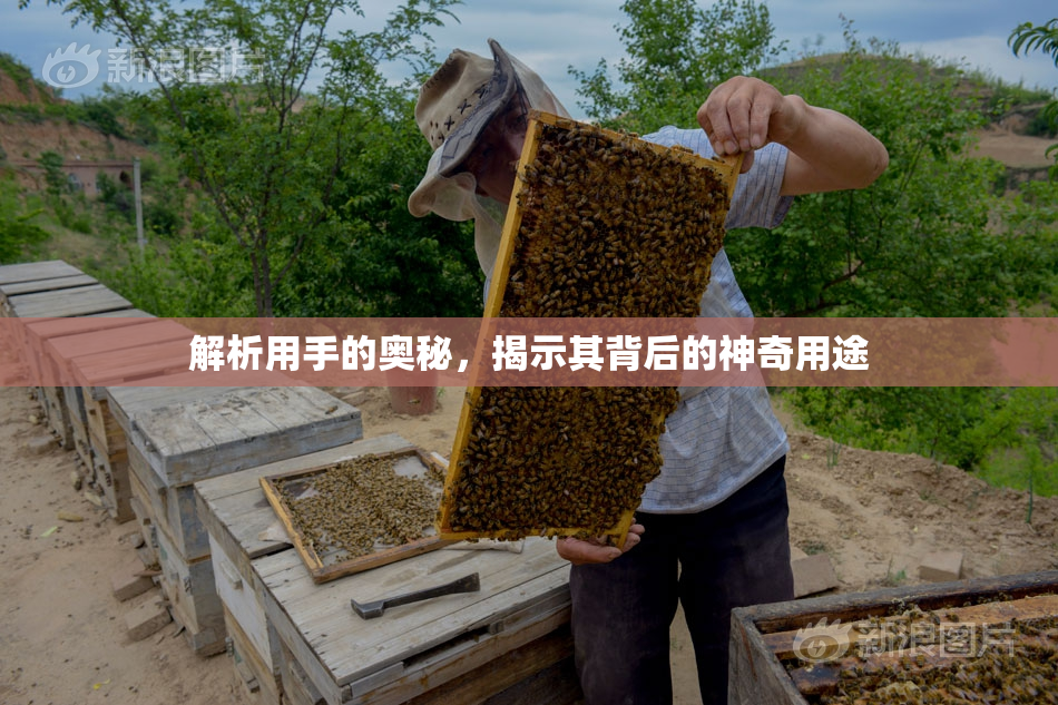 解析用手的奥秘，揭示其背后的神奇用途