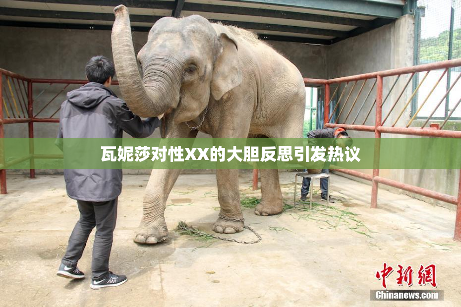 瓦妮莎对性XX的大胆反思引发热议