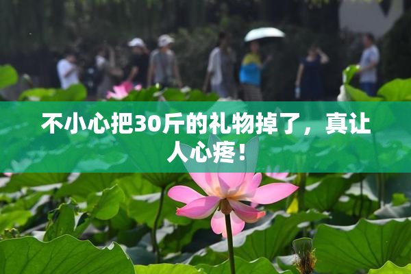 不小心把30斤的礼物掉了，真让人心疼！
