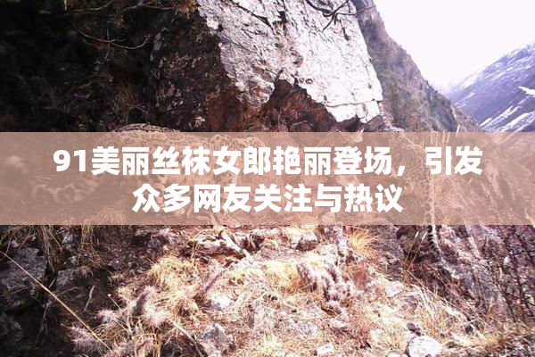 91美丽丝袜女郎艳丽登场，引发众多网友关注与热议