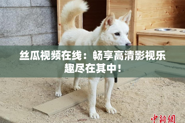 丝瓜视频在线：畅享高清影视乐趣尽在其中！