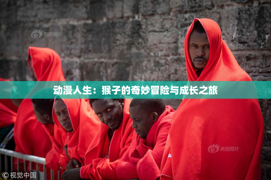 动漫人生：猴子的奇妙冒险与成长之旅