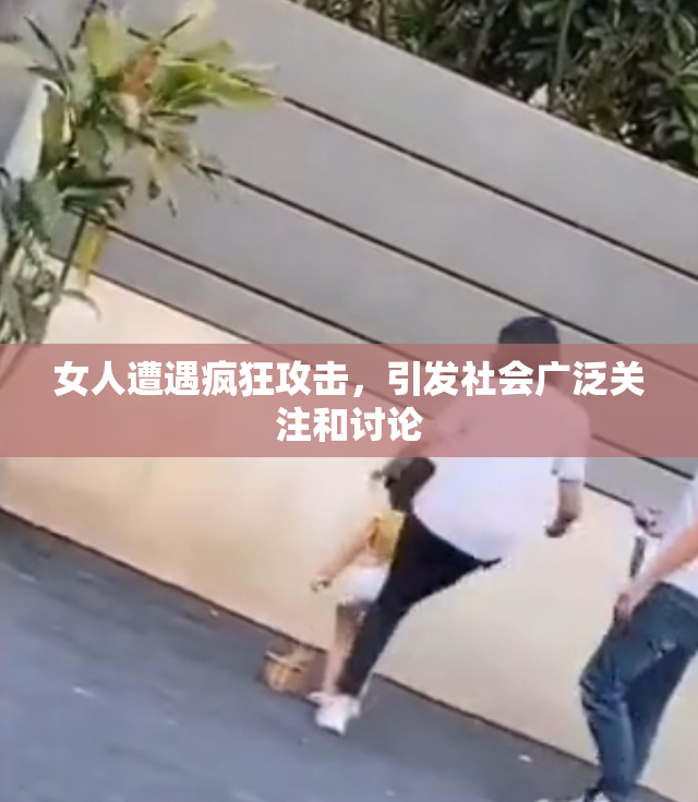 女人遭遇疯狂攻击，引发社会广泛关注和讨论
