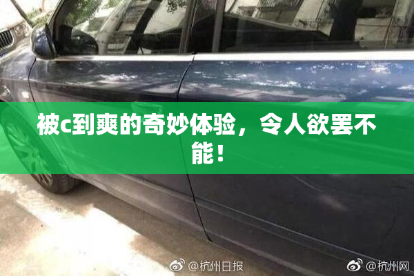 被c到爽的奇妙体验，令人欲罢不能！