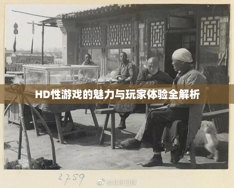 HD性游戏的魅力与玩家体验全解析