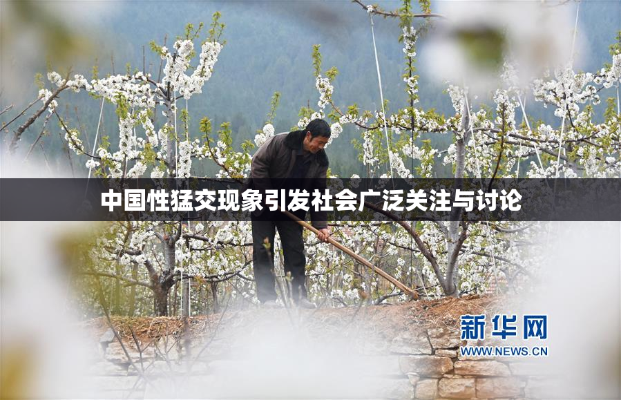 中国性猛交现象引发社会广泛关注与讨论