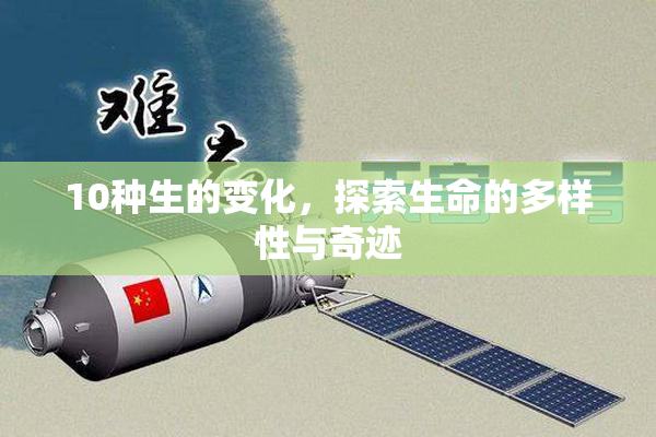 10种生的变化，探索生命的多样性与奇迹
