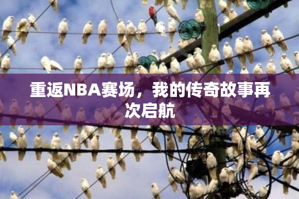 重返NBA赛场，我的传奇故事再次启航
