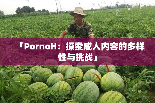 「PornoH：探索成人内容的多样性与挑战」
