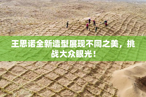 王思诺全新造型展现不同之美，挑战大众眼光！