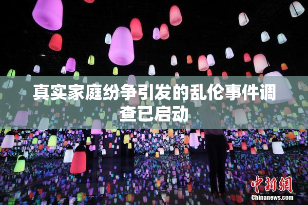 真实家庭纷争引发的乱伦事件调查已启动