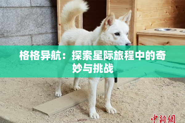 格格异航：探索星际旅程中的奇妙与挑战