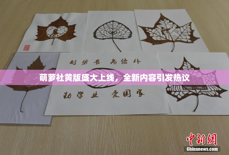 萌萝社黄版盛大上线，全新内容引发热议