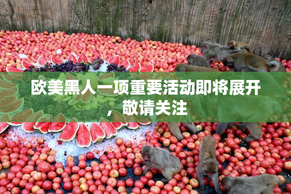 欧美黑人一项重要活动即将展开，敬请关注