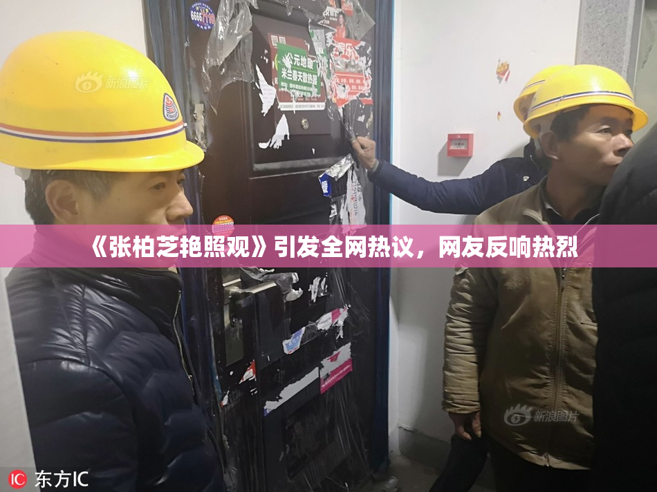 《张柏芝艳照观》引发全网热议，网友反响热烈