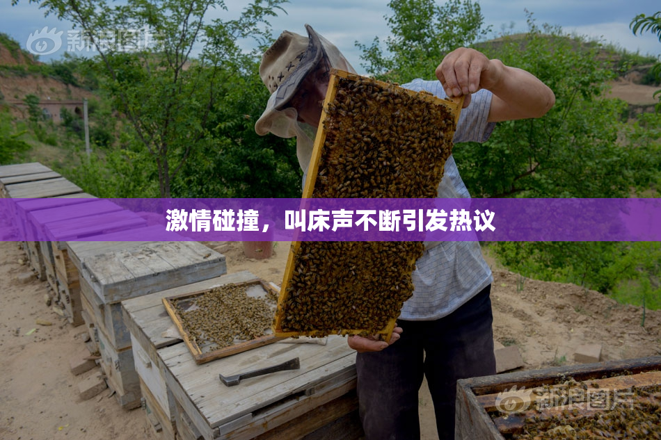 激情碰撞，叫床声不断引发热议