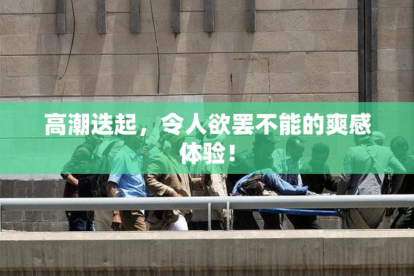 高潮迭起，令人欲罢不能的爽感体验！