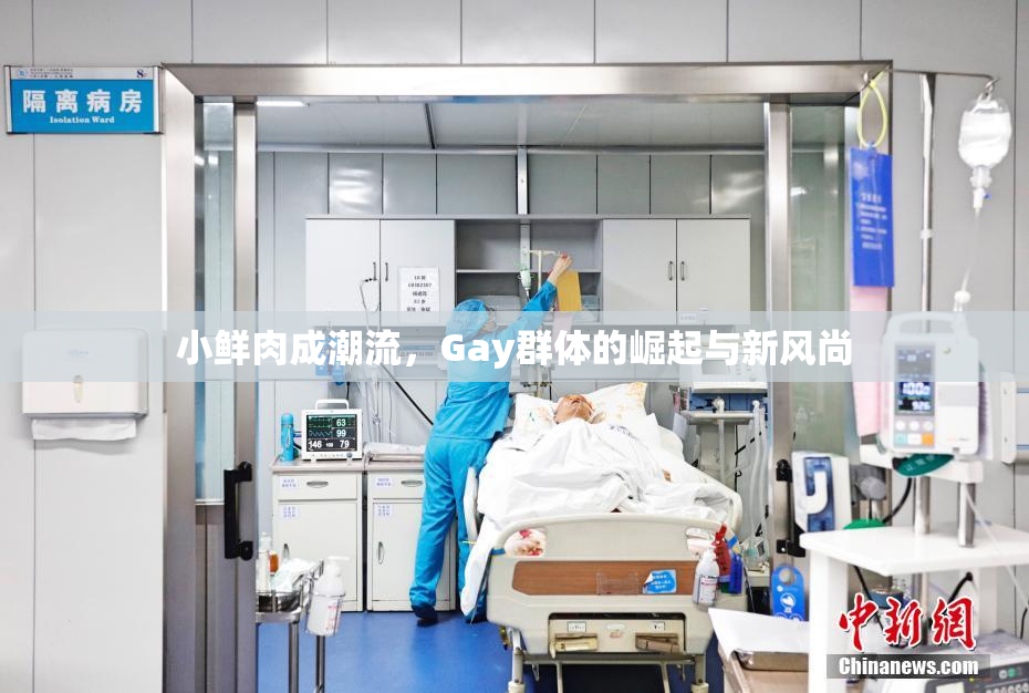 小鲜肉成潮流，Gay群体的崛起与新风尚