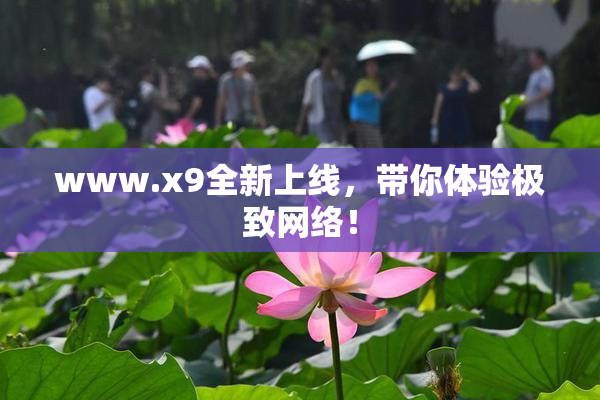 www.x9全新上线，带你体验极致网络！
