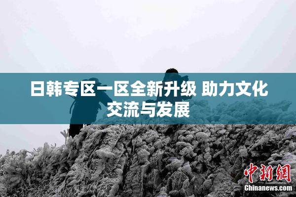 日韩专区一区全新升级 助力文化交流与发展