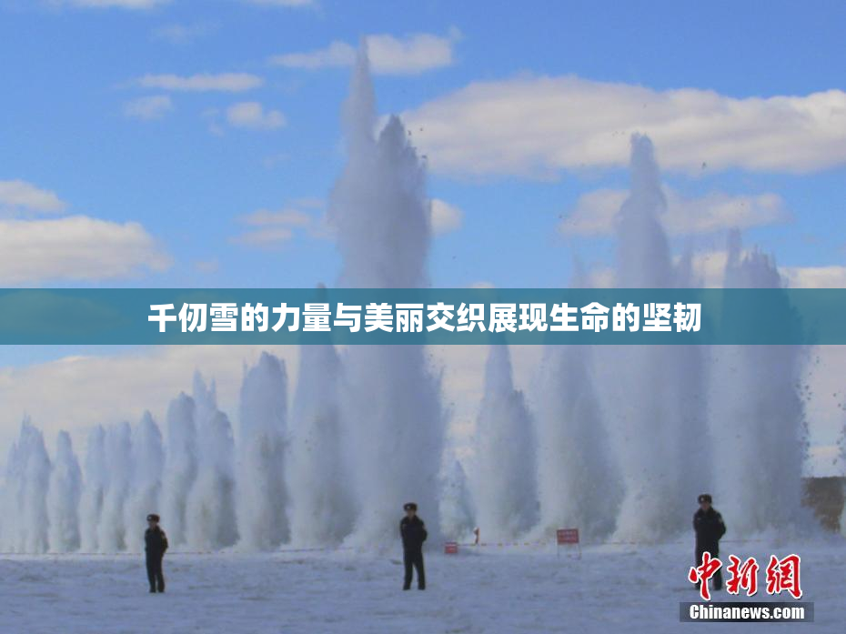 千仞雪的力量与美丽交织展现生命的坚韧