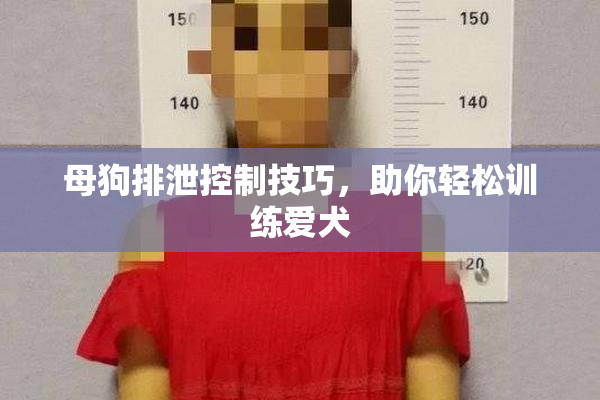母狗排泄控制技巧，助你轻松训练爱犬