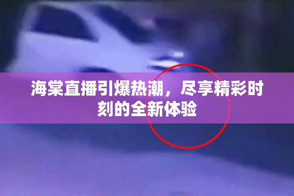 海棠直播引爆热潮，尽享精彩时刻的全新体验
