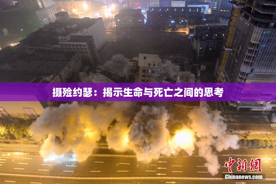 摄殓约瑟：揭示生命与死亡之间的思考