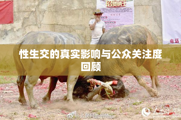 性生交的真实影响与公众关注度回顾